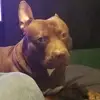 William Darrell Sallee - @william.darrell.s - TikTok