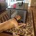 William Saling - Facebook