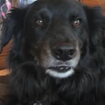 William Billy Salomon - @william.salomon.75098 - Instagram