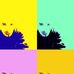 William Salomon - Facebook