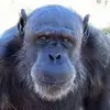 William Sands - @william.sands28 - TikTok