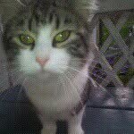 william - @william_sandin_ - Instagram