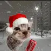 Williams Andino - @williams.andino - TikTok