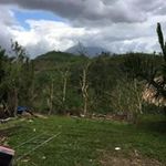 William Sarro - @william.sarro.3 - Instagram