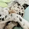 williamsather - @williamsather - TikTok