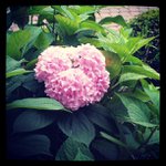 William Satterwhite - @loggskip - Instagram