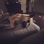 William Sayer - @freighthauler17 - Instagram