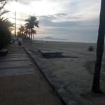 William Scarpa - @scarpa.william - Instagram