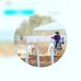 William Scarparo - Facebook