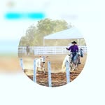 William Scarparo - @scarparowilliam - Instagram