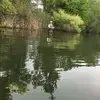 williamschaaf661 - @williamschaaf661 - TikTok