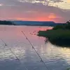William_S08 - @william_scharff08 - TikTok