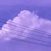 William Schauman - @williamschauman969 - TikTok