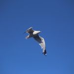 William Edward Schenck - @william_schenck2000 - Instagram