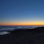 William Schepens - @nodinchatto - Instagram