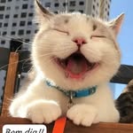 William Silva Schiavi - @williamsilvaschiavi - Instagram
