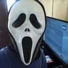 William Schirmann - @williamschirmann - TikTok