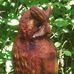 Bill Schlegel - Facebook