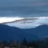 williamschneeman - @williamschneeman - TikTok