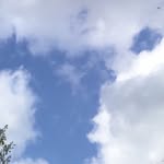 william - @william.schuck - Instagram
