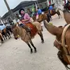 William Schutz - @wjschutz - TikTok