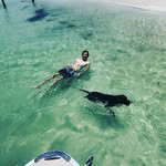 @william_scotchie - Instagram