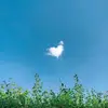 William Scott - @williamscott2585 - TikTok