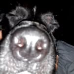 William Scurry - @williamscurry78 - Instagram