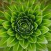 William Searle's All-Weather Gardening Service - Facebook