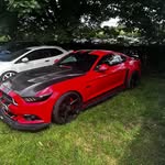 William selman - @williamselman33 - Instagram