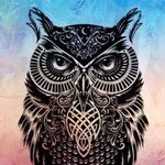 William Sudarmanto sentosa - @biskitop_phoenix - Instagram
