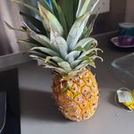 William Seo - @hi.germination - Instagram