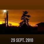 william sequeira - @sequeira685 - Instagram
