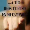 William Serna - @william.serna3 - TikTok