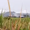 William Serna - @william.serna09 - TikTok
