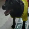 williamsernaserna - @williamsernaserna - TikTok