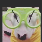 William Serpas - @william_serpas - Instagram