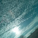 William Serrato - @william.serrato.376 - Instagram