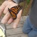 William Soderlind - Facebook