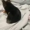 William Severino - @william.severino - TikTok