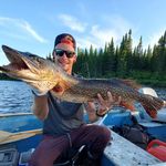 William Sévigny - @william_sevigny - Instagram