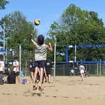 William Sévigny - @will_sevigny - Instagram