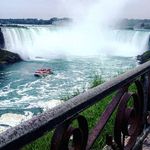 William SEVIGNY - @william.sevigny - Instagram