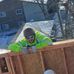 William Sevy - Facebook