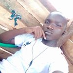 William Shaban - @williamshaban81 - Instagram