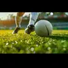 William Shabani - @william.shabani - TikTok