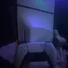 William Shelton - @william.shelton77 - TikTok