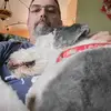 williamshaft - @williamshaft - TikTok