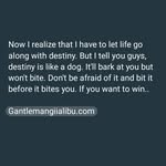 Shemintah William - @shemintahwilliam - Instagram