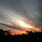 William - @william.shephard - Instagram